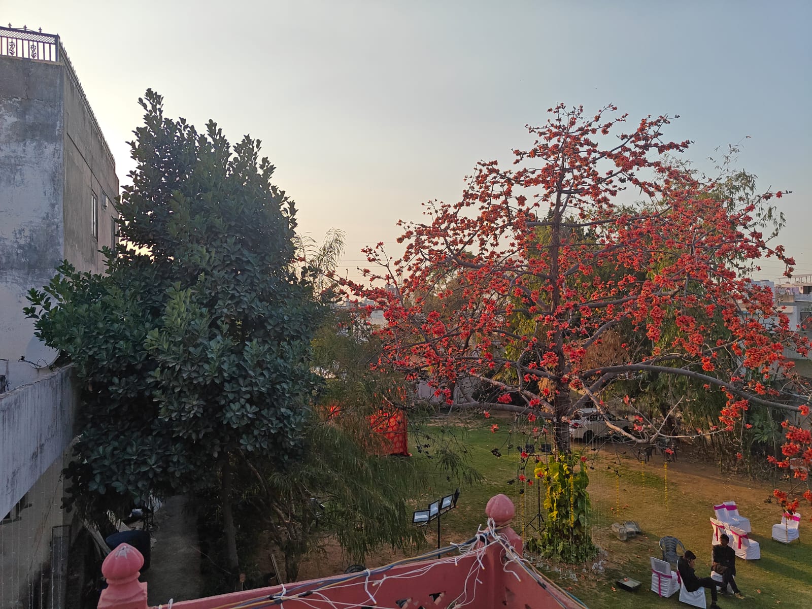 Building Exterior and Lawn