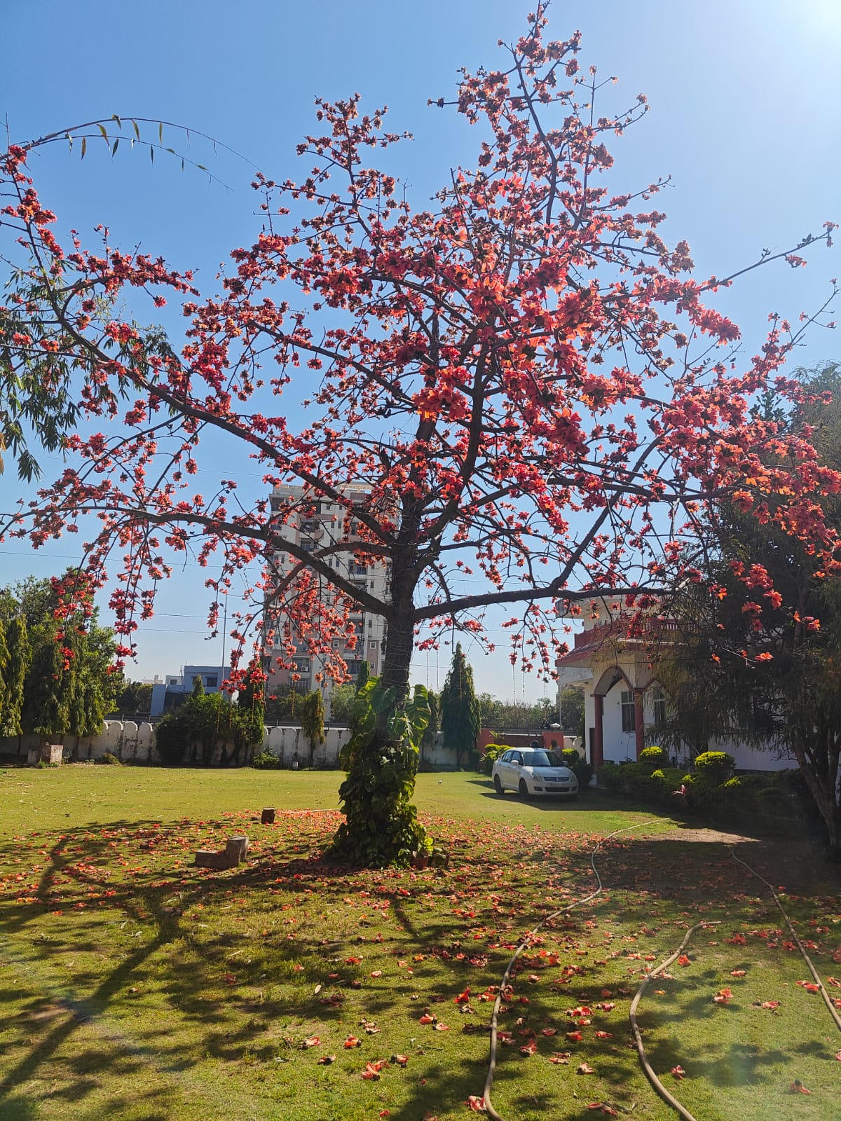 Scenic Wedding Photography Spots at Mahaveer Kunj